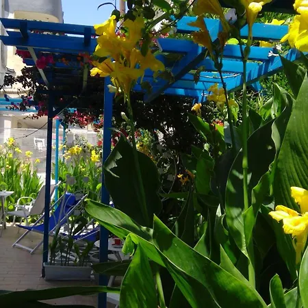 Apartman Ibiscus And Lily *