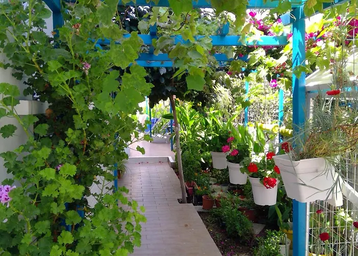 Apartament Ibiscus And Lily Rhodes City