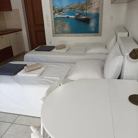 Daire Ibiscus And Lily *