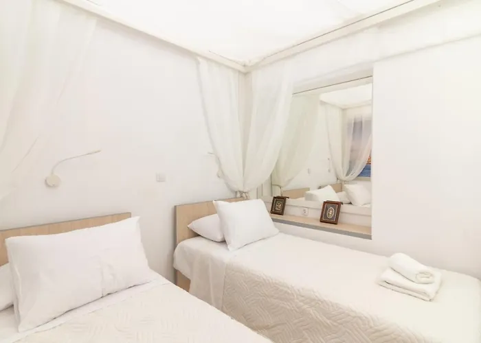 Ibiscus And Lily Daire Rhodes City