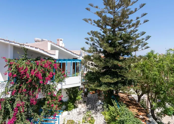 Ibiscus And Lily Daire Rhodes City