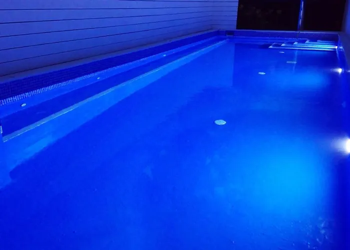 Ibiscus And Lily Daire Rhodes City