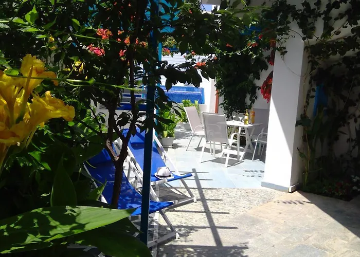 Daire Ibiscus And Lily