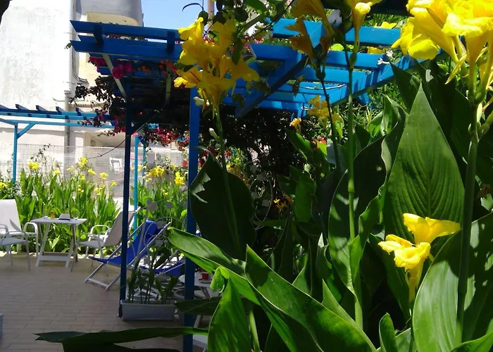 Daire Ibiscus And Lily *