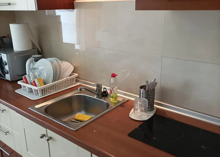 Ibiscus And Lily Rhodes City