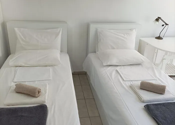 Ibiscus And Lily Daire Rhodes City