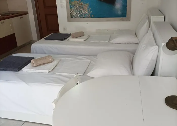 Daire Ibiscus And Lily *