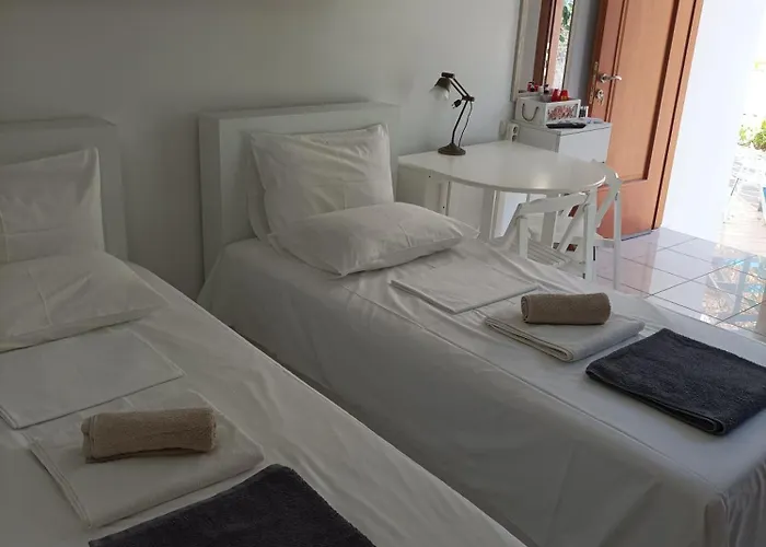 Ibiscus And Lily Daire Rhodes City