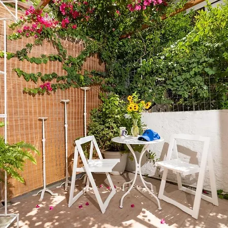 Ibiscus And Lily Apartamento