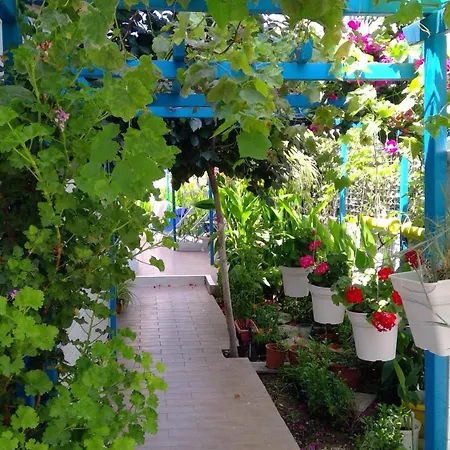 Διαμέρισμα Ibiscus And Lily Rhodes City